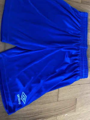 Blå Umbro träningsshorts - Blå träningsshorts från Umbro med elastisk midja och logga på benet. Tillverkade i ett glansigt syntetmaterial som är perfekt för sport och aktivitet. Klassisk loose passform och enkel design.