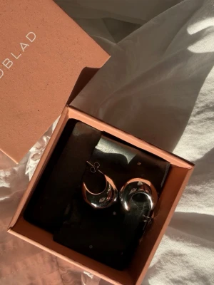 Silvriga örhängen Edblad - Säljer ett par silvriga örhängen från Edblad. De är runda hoops med en spegelblank finish. Perfekta för att lyfta vilken outfit som helst! Kommer i original ask. HELT oanvända. Fick i julklapp men använder guld, därav säljer jag. 