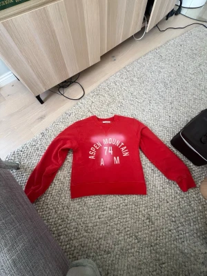 Röd sweatshirt Aspen Mountain - Säljer den trendiga och populära tröjan från Zara i storlek S. Säljer den för att den är för liten på mig. Den är i typ helt perfekt skick ( ja har använt den tre gånger)