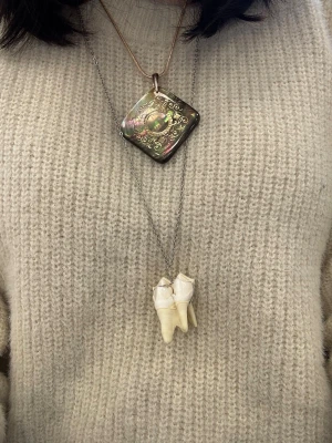 halsband med tand - Perfekt för dig som gillar statement-smycken och vill sticka ut.