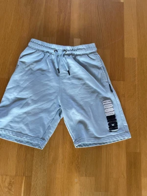 Ljusblå shorts från Hoodrich - Snygga ljusblå shorts från Hoodrich med broderad logga i vitt och svart på ena benet. Shortsen har elastisk midja med snörning och dragkedjeförsedda fickor. Perfekta för en chill och avslappnad stil.