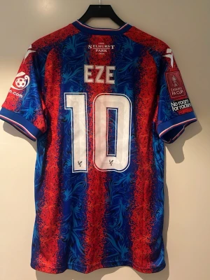 Crystal Palace EZE  - En Crystal Palace tröja med EZE i FA cup final 2025 Storlek L helt ny