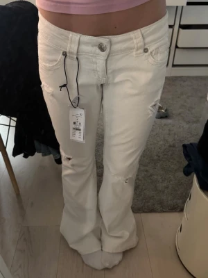 Vita jeans 14+ low rise flare jeans petite - Helt nya med prislapp!