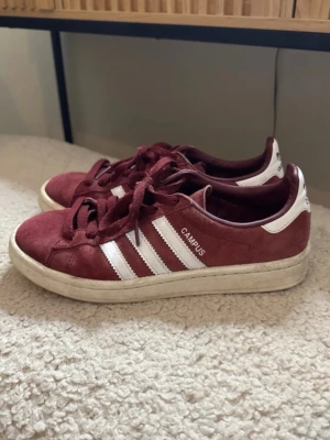 Adidas campus  - Jättesnygga vinröda adidas campus 🥰🥰