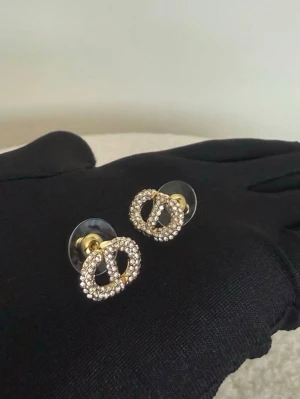 Örhängen  - Christian dior Rostfritt stål