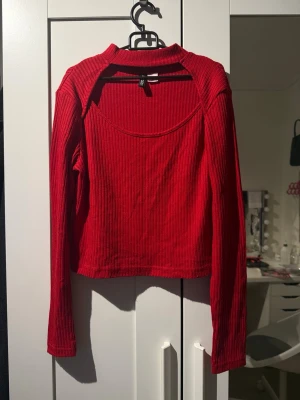 Röd ribbad croppad topp från H&M - Snygg röd croppad topp från H&M med lång ärm och ribbad struktur. Toppen har en rundad halsringning och sitter tajt mot kroppen, perfekt för att styla med höga jeans eller kjol.