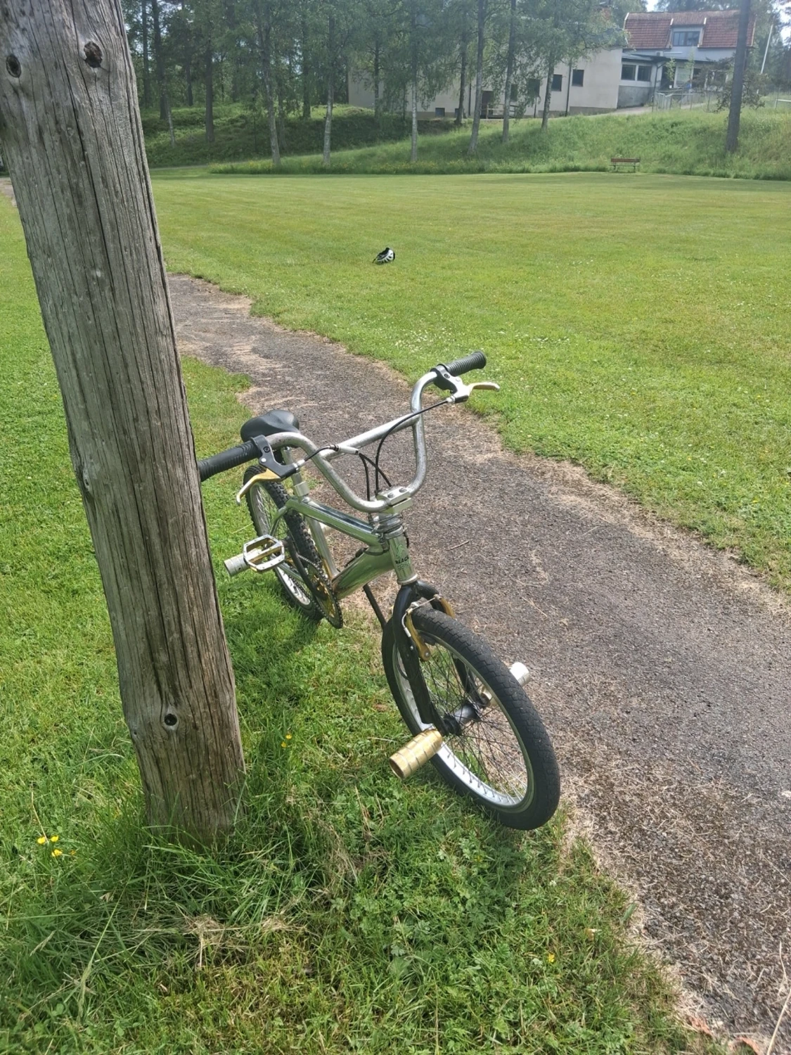 Silver BMX-cykel med pegs - 1