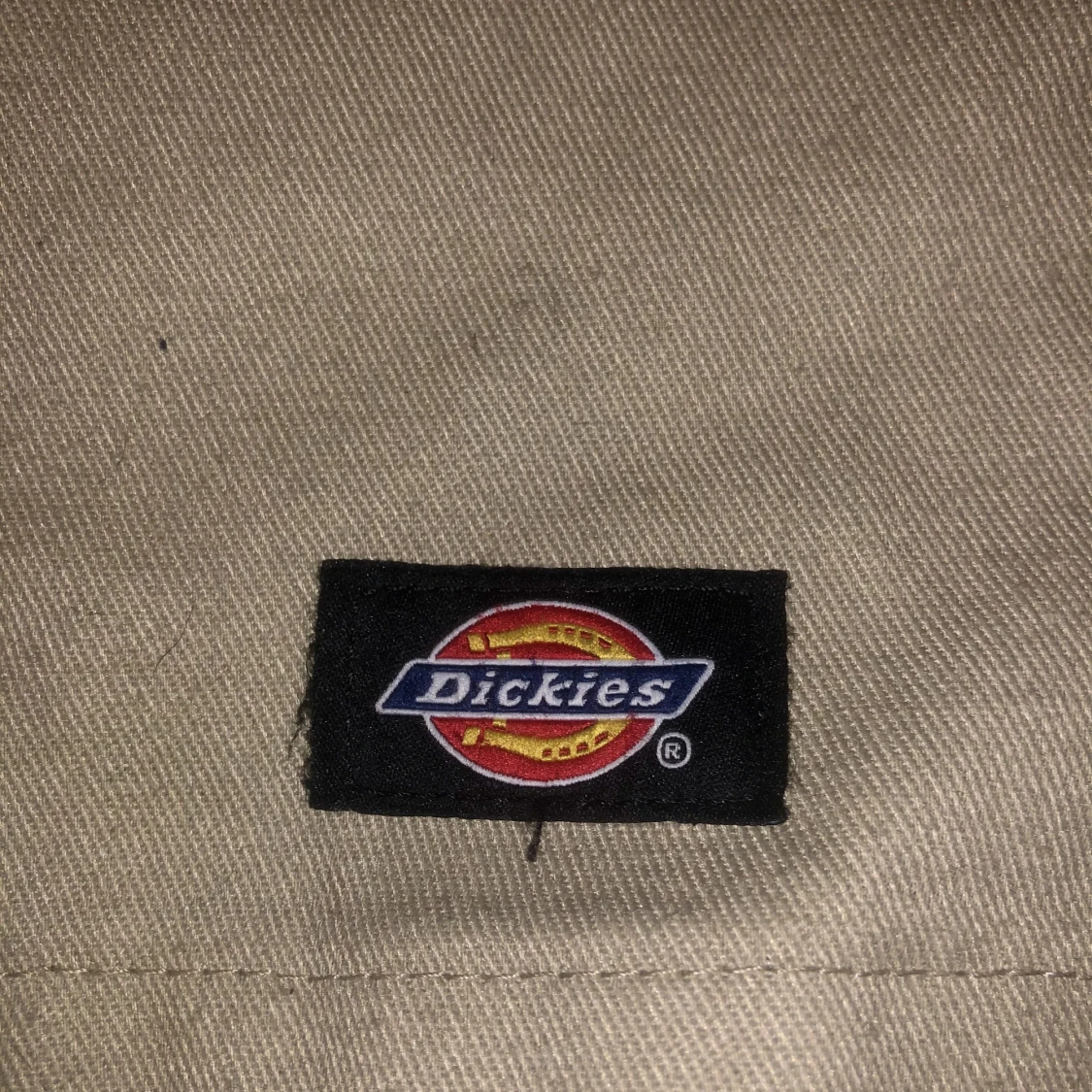 Dickies loose fit shorts - 91