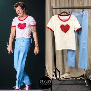 Säljer THE ICONIC t-shirt som Harry Styles hade på sin konsert i Stockholm från Love On Tour❤️‍🔥❤️‍🔥 Är en XL men passar även L och mindre storlekar om man vill ha den oversized! Helt oanvänd och i toppskick!! Fkn snyggaste skiten!!!