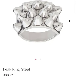 Edblad ring (silver) - Säljer min Edblad ring, då den är för stor för mig. Köpt här på Plick för någon vecka sedan, men har inga defekter eller liknande. 