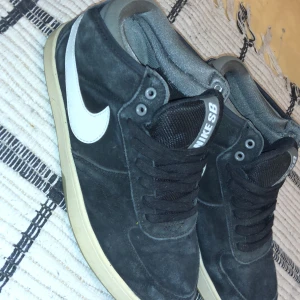Nike sb - Lite slitna men funkar