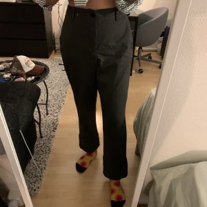 Zara kostymbyxor 38 - Fraktar ej Finns i Lund