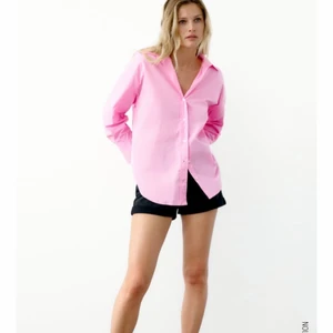 Skjorta - Säljer en helt ny skjorta från zara, aldrig använd