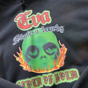 Eva skateboards hoodie - Eva bone thugs hoodie 