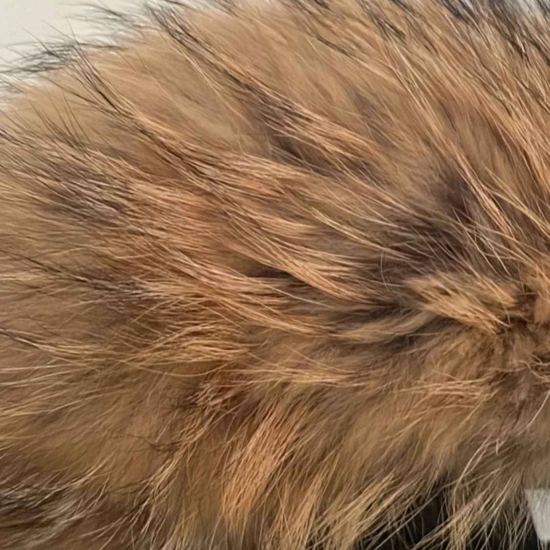 Hollies subway vinterjacka - 91