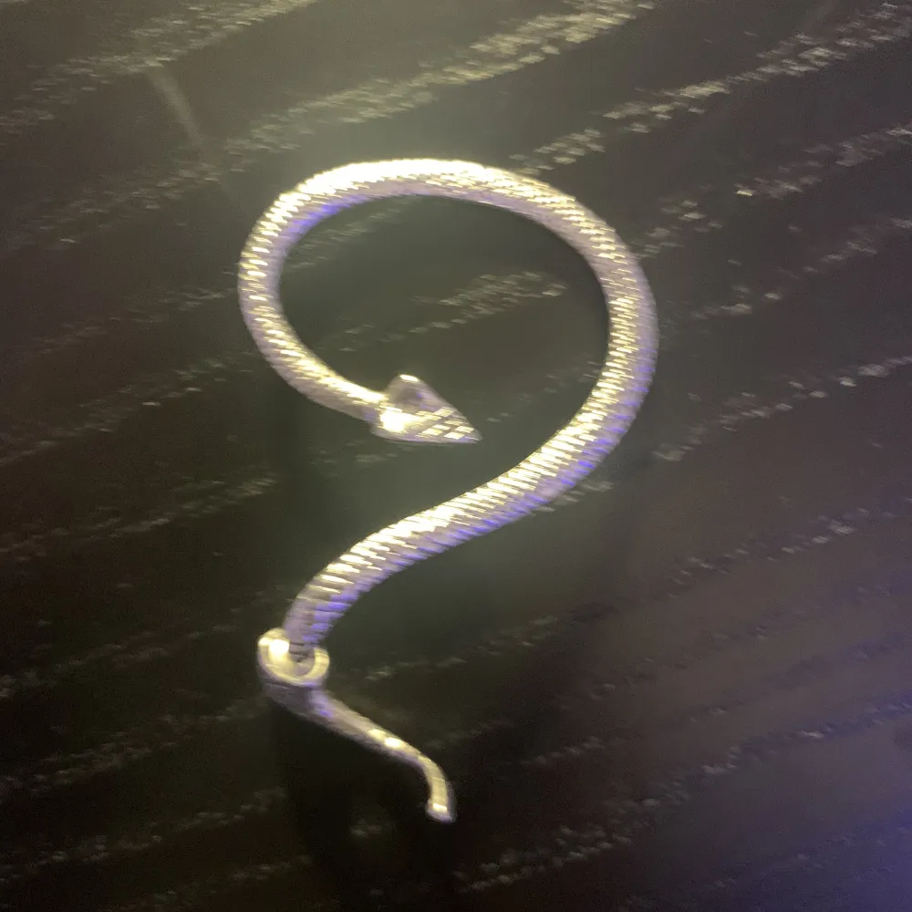 Ett jätte fint orm örhänge som är silvrigt , använder inte längre pgr av att den inte passar mitt öra. Köpte den för 150 , skriv bara om du vill ha fler foton på örhänget :)). Accessoarer.