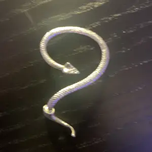 Ett jätte fint orm örhänge som är silvrigt , använder inte längre pgr av att den inte passar mitt öra. Köpte den för 150 , skriv bara om du vill ha fler foton på örhänget :))