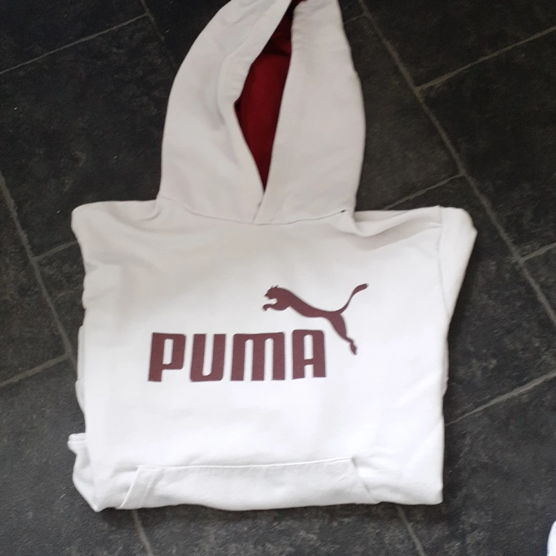 Puma huvtröja