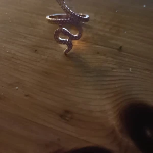 En orm ring - En orm ring