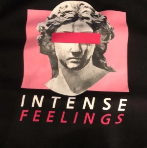 Hoodie - Säljer denna hoodie då jag ej använder den längre, hoodien har tecken på användning men är inte synliga. Framsidan är helsvart, men baksidan har ett tryck. jag har storlek s i vanliga fall och hoodien är lite overaized så passar M. pris kan diskuteras.💕