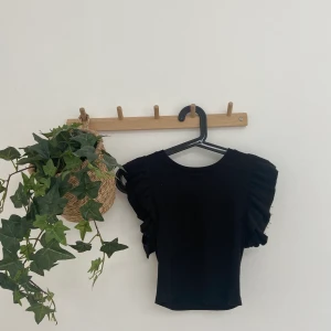 Svart topp - Svart topp med volang ärmar från zara i storlek S. Superduper fin men kommer tyvärr inte till användning längre😇💗