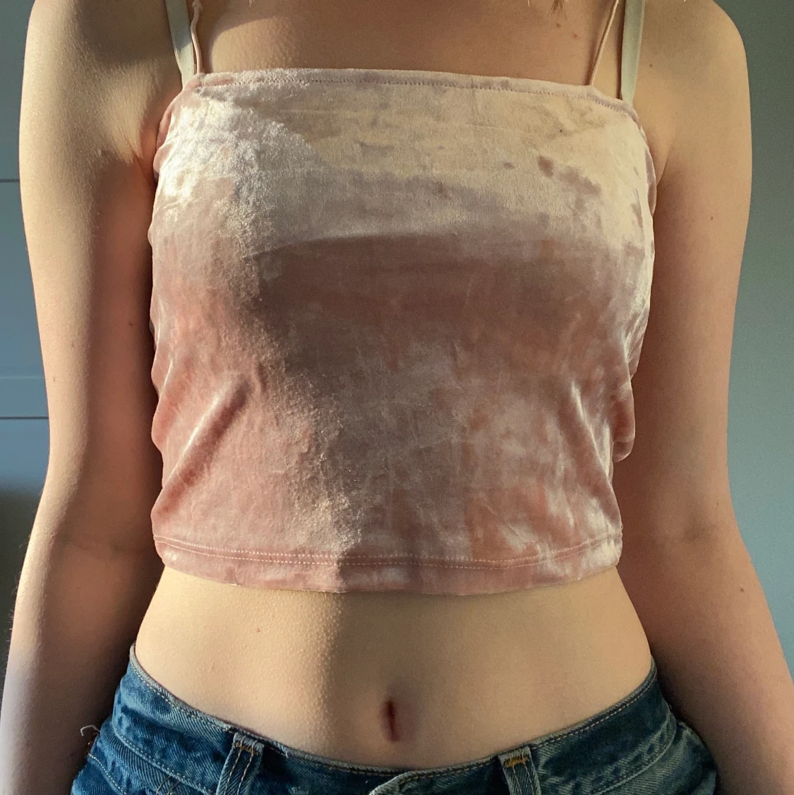 Rosa sammetslinne  - 91