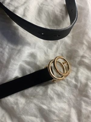 Snyggt skärp - Säljer mitt skärp från Gina tricot, fins ett extra hål lite lägre upp men syns inte så mycket