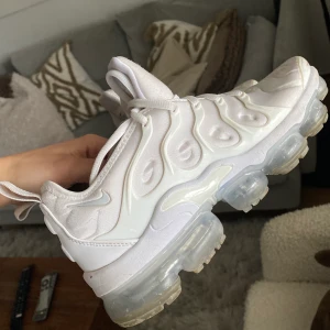 Nike air vapormax plus  - Nike air vapormax plus storlek 38, bra skick 