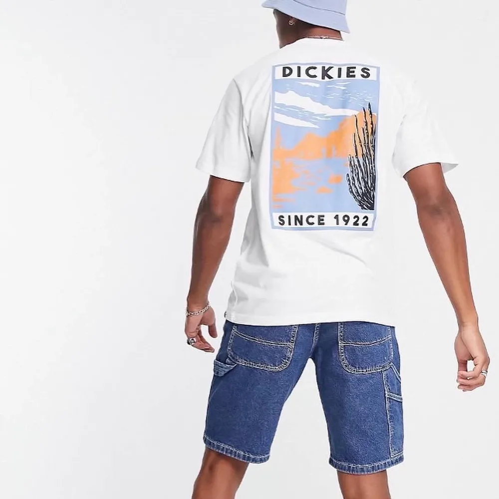 Dickies T-shirt, nypris är 399kr. Storlekar som finns är XS, S och L. Tröjorna är helt nya och skickas med tags på. Modellen är 188cm lång och har på sig storlek M.. T-shirts.