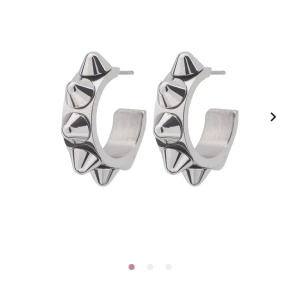 Örhängen  - Säljer mina snygga örhängen från Edblad då dom inte kommer till användning, super bra skick🥰