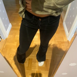 Lågmidjade jeans - Svarta lågmidjade jeans i strl 38, rätt så använda och säljer därav billigt men fortfarande grymt snygga💓 Jag är 163 lång🫶🏼