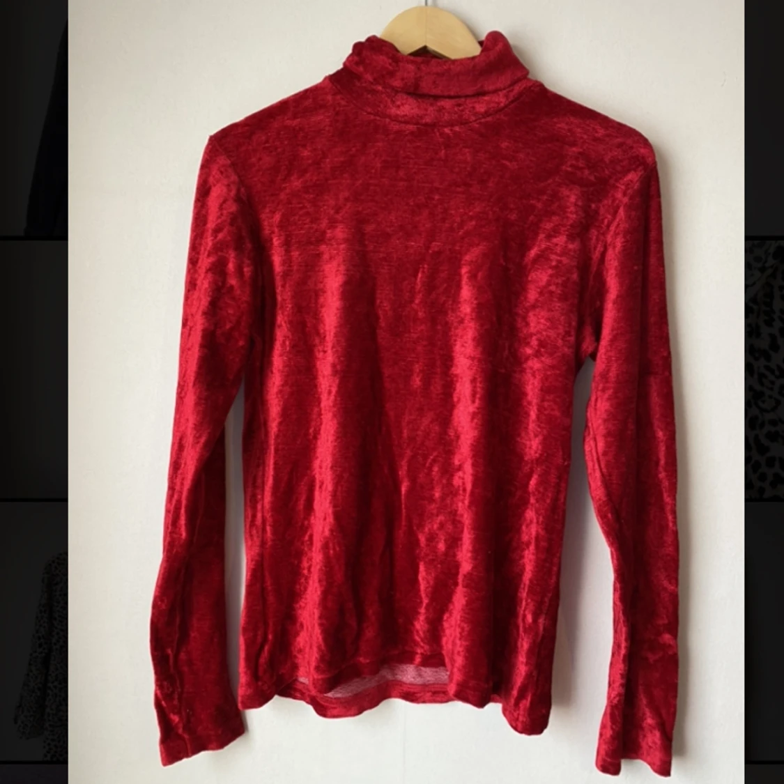 St. Bernard red velvet polo neck