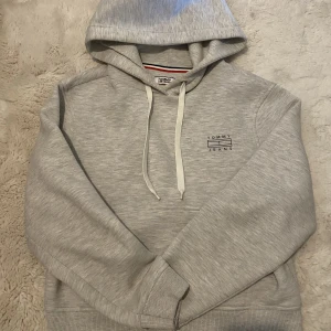 Tommy jeans hoddie  - Tommy jeans Hoddie i jätte bra skick. (Rensar garderoben därför vill jag sälja allt billigt) 