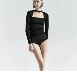 Zara topp - Jättefin långärmad topp/tröja från zara med choker, i svart!!💗💗 jättefint skick men dragkedjan är lite trög men det var den nät den var ny också, hör av er om ni har några frågor💖💖 den är i storlek m men passar mig som brukar ha s. Kan diskutera priset