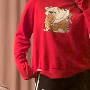 Sweatshirt size xs  - Användet flera gånger men den är ändå jätte bra .