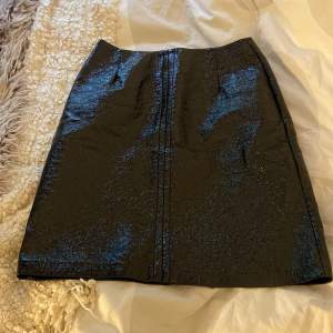 En glansig kjol i bra skick, aldrig använd i storlek 34, från lindex
