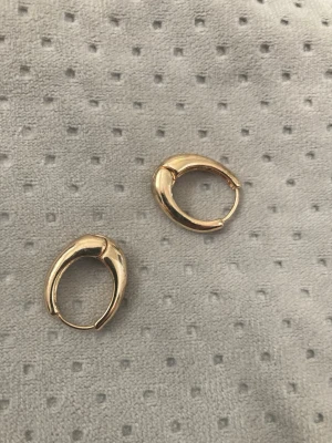Guldpläterade chunky hoops örhängen - Säljer ett par chunky hoops örhängen i guldpläterad metall. De har en rundad, lite tjockare design som ger en trendig och stilren look. Perfekta för att lyfta vilken outfit som helst med en touch av guld.