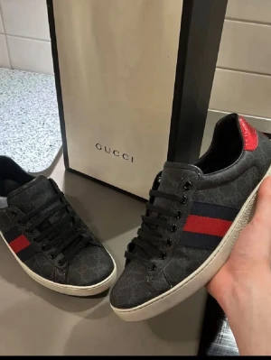 Gucci ace - Ett snygga Gucci ace/ I stolek 41,5 👑 jättebra skick 8-10 💸 Allt og medföljer 🫡 Hör av er vid funderingar 