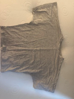 Grå basic t-shirt från 157 - En enkel och stilren grå t-shirt från 157 i storlek XS. T-shirten har rund halsringning och korta ärmar, perfekt för en avslappnad look. Tillverkad i mjuk bomull för skön känsla hela dagen.