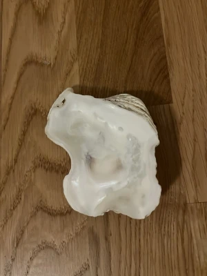 Stor ostronskal i vitt och beige - Säljer ett stort ostronskal med naturlig, oregelbunden form. Skalet har en blank vit insida och en beige, lite ruffig utsida. Perfekt som dekoration eller för att förvara småsaker. Materialet är äkta snäckskal.