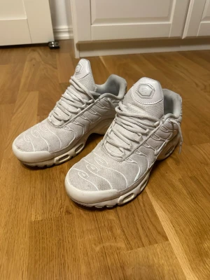 Nike Tn skor - Lite använda, inga skador. Hör av er om frågor🙌