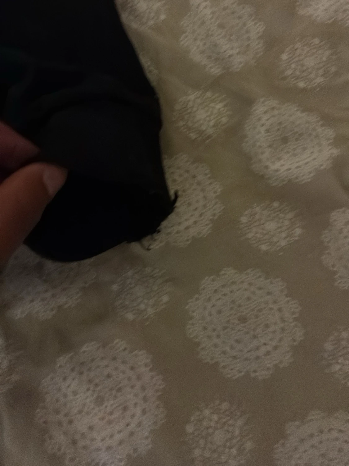 Svart tröja från Emporio Armani EA7 - 1