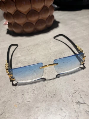 Blåtonade solglasögon med leoparddetalj - Snygga