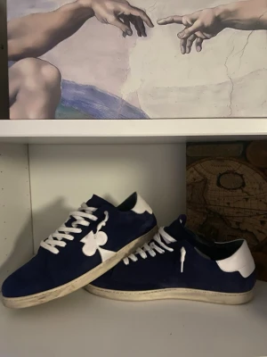 The galorist  - Inget täken på användning endast använda en gång pga fel storlek      storlek 45