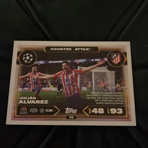 Fotbollskort  - Säljer fotbollskort svårt att få tag på bra pris är riktigt snyggt. Man får bara köpa alla!