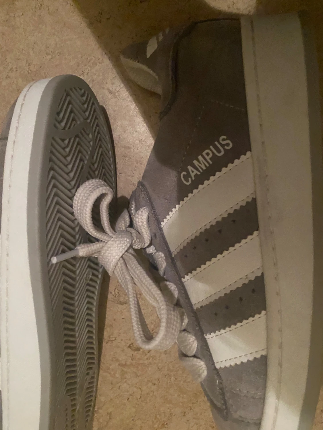 Grå Adidas Campus sneakers - 2