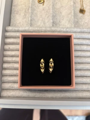 Guldiga örhängen Edblad - Säljer mina guldiga Edblad örhängen då dom inte längre kommer till användning! Super fina och bra skick! Nypris 399kr men säljer för 200, priset är diskuterbart!