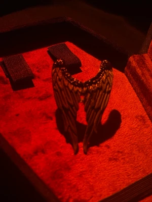 Ving ring - En skit cool ring! Riktigt bra till stil intresserade och hjälper dig att bygga din outfit!! Ringen är limmad på baksidan med inget som syns när du har den på dig!!