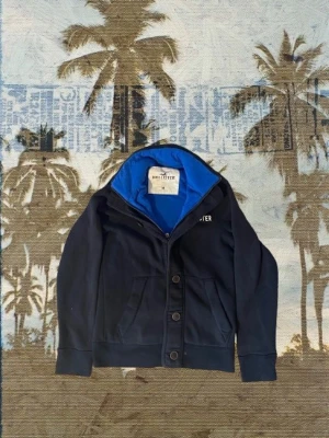 Vintage hollister tröja  - Här säljer jag en vintage hollister tröja med fodring vilket gör den perfekt nu till vintern. Skick 9/10. Längd 68, bredd 47