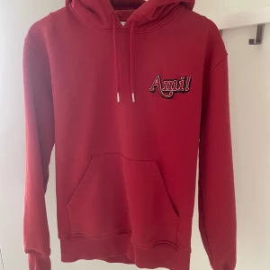 Ami paris hoodie  - Säljer nu denna hoodien från märket Ami paris då den har blivit för liten. Jätte snygg och tjock tröja, perfekt till dig som vill sticka ut ur mängden. Tröjan har ett broderade tryck på vänstra bröstet. För mer information eller bilder så är det bara att skicka ett meddelande! (pris ej hugget i sten)🤝